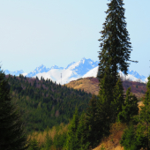 Vzdialená krása...