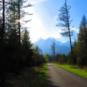 Po tatranských cestách II. ...