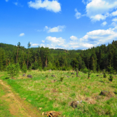 Na Ľubickom kopci...