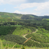 50 odtieňov zelenej...