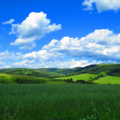 príroda v okolí Torysiek...