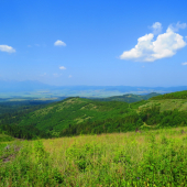 Leto v Levočských vrchoch...