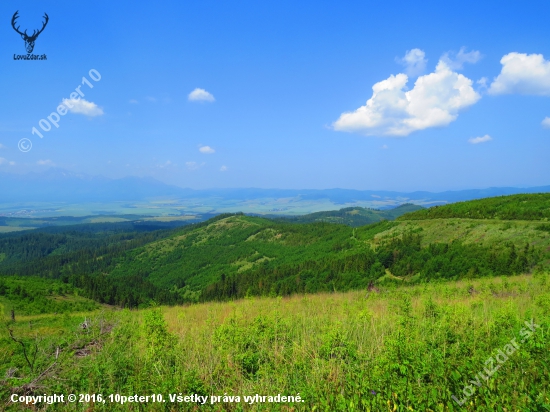 Leto v Levočských vrchoch...