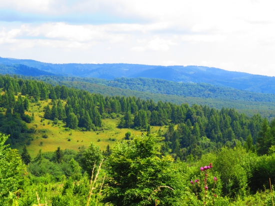 Levočská dolina...