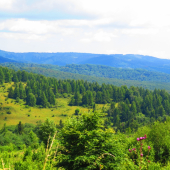 Levočská dolina...