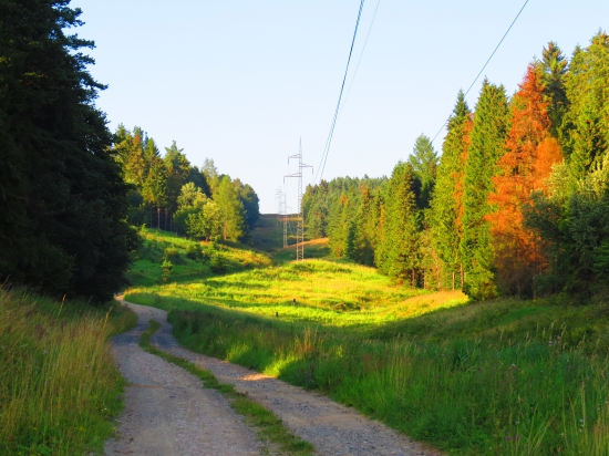 cez Štopark...