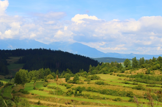 Úpätie Levočských vrchov...