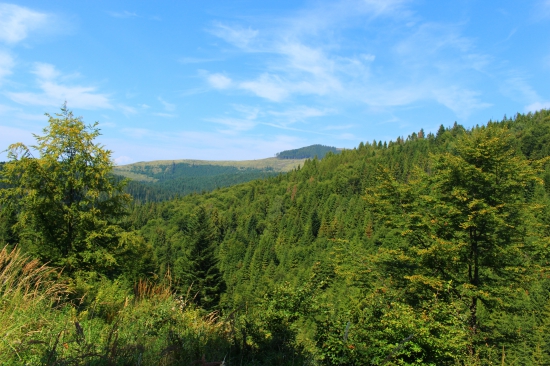 Ponad Peklo...