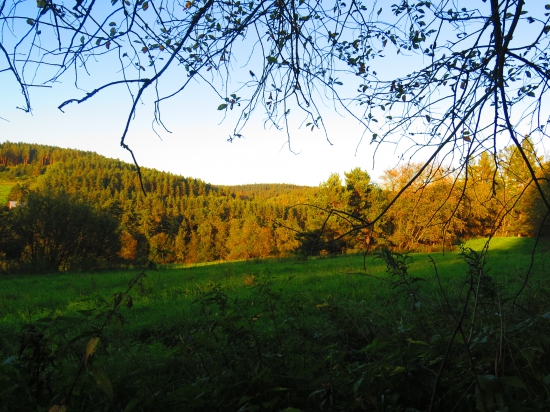 podvečerná...