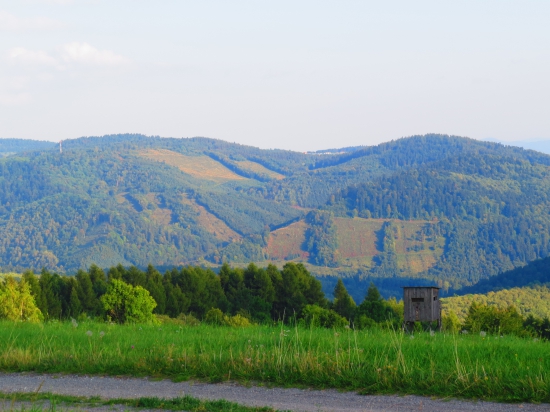Levočská dolina...