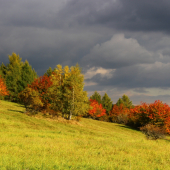 jesenné farby...