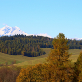 okolie Ruskinoviec...