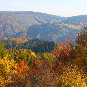 ešte jedna jesenná...