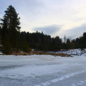 zamrznuté jazierko...