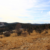 jarná prechádzka...