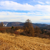 Levočská dolina...