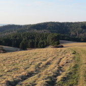 podvečer v prírode...