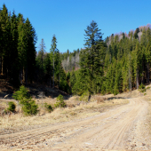 Kúpeľná dolina...