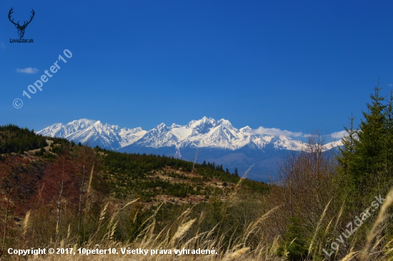 Tatry z pod Vinnej...