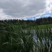 večer na Zlatnej...