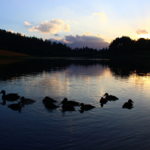 večerná atmosféra...