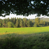 čakanie na srnca...