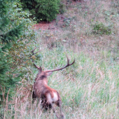 bol rýchlejší ako ja...