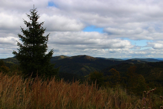 Levočské vrchy...