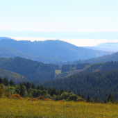 Levočská dolina...