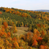 jeseň pani bohatá....