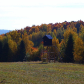 jesenná s posedom...