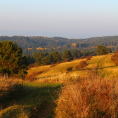 októbrový podvečer...