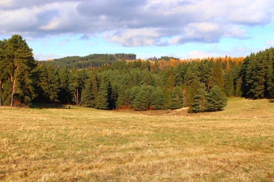novembrové popoludnie...