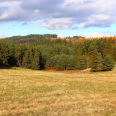 novembrové popoludnie...