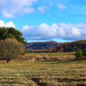 posledné dni bez snehu...