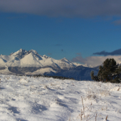 pohľad tatranský II.