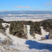s Magurou v pozadí...
