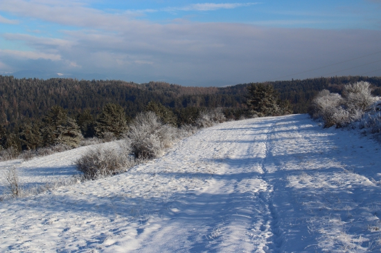 decembrová...