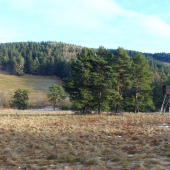 januárové ráno...