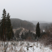 zasnežené ráno...