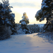 februárové ráno...