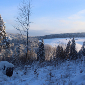 februárové ráno...