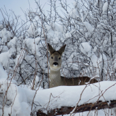 pohľad do objektívu...