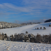 slnečný zimný deň...