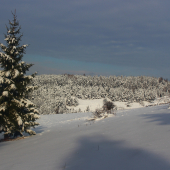 zima stále drží...