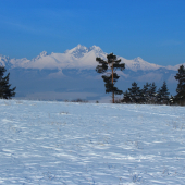 tatranská...