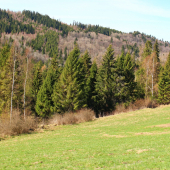 Z Jankurovej lúky...