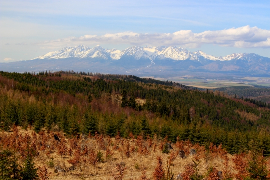 Tatry z Levočských vrchov...