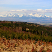 Tatry z Levočských vrchov...