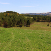 úpätie Levočských vrchov...